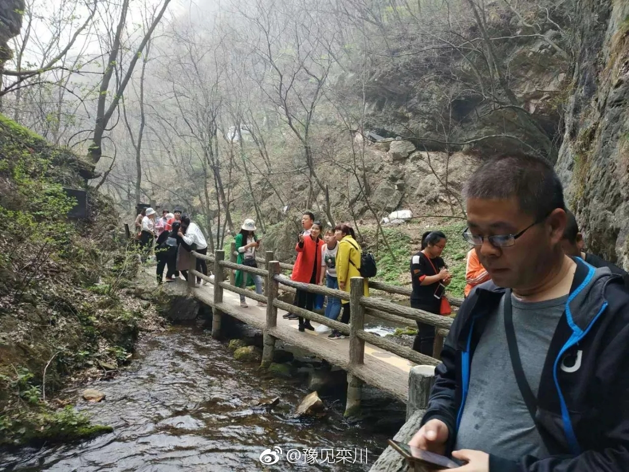 春意盎然百花齐放,3月28日|风景区|栾川重渡沟|鸡冠洞|重渡沟|老君山_新浪新闻