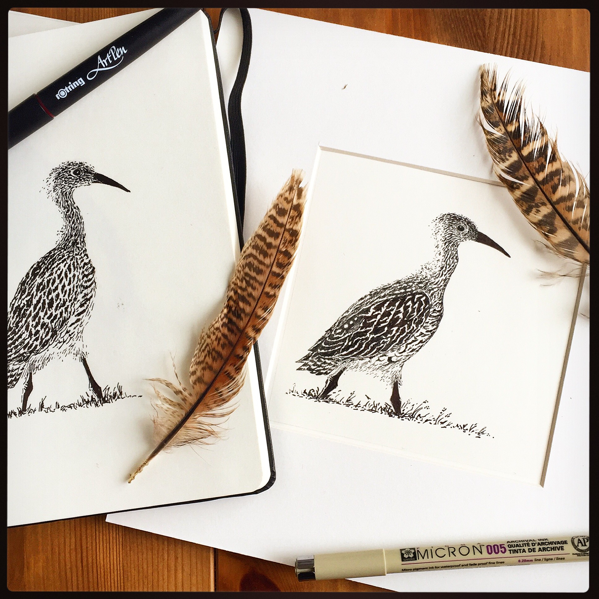 hand-painted手绘_新浪新闻