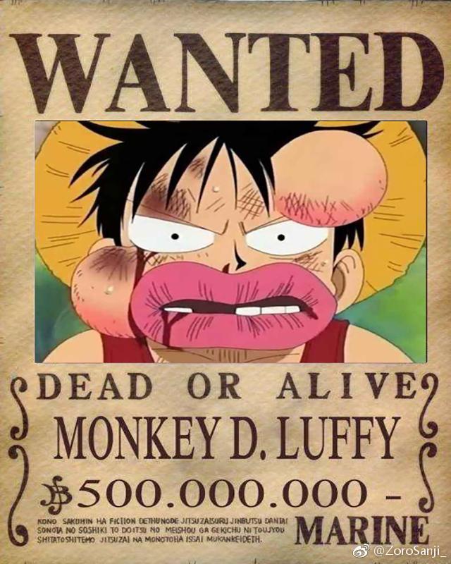 如果草帽一伙的通缉令都是他们最丑的模样那就不止山治乔巴哭了