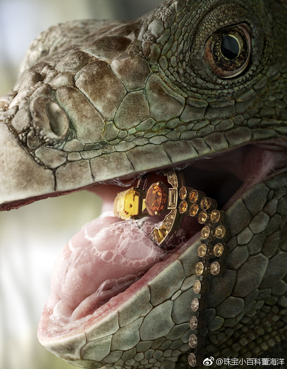 牙好,胃口就好,身体倍儿棒,吃嘛嘛香