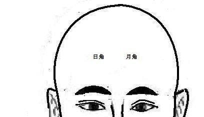 额骨隆起并能直贯头顶的人有帝王之相