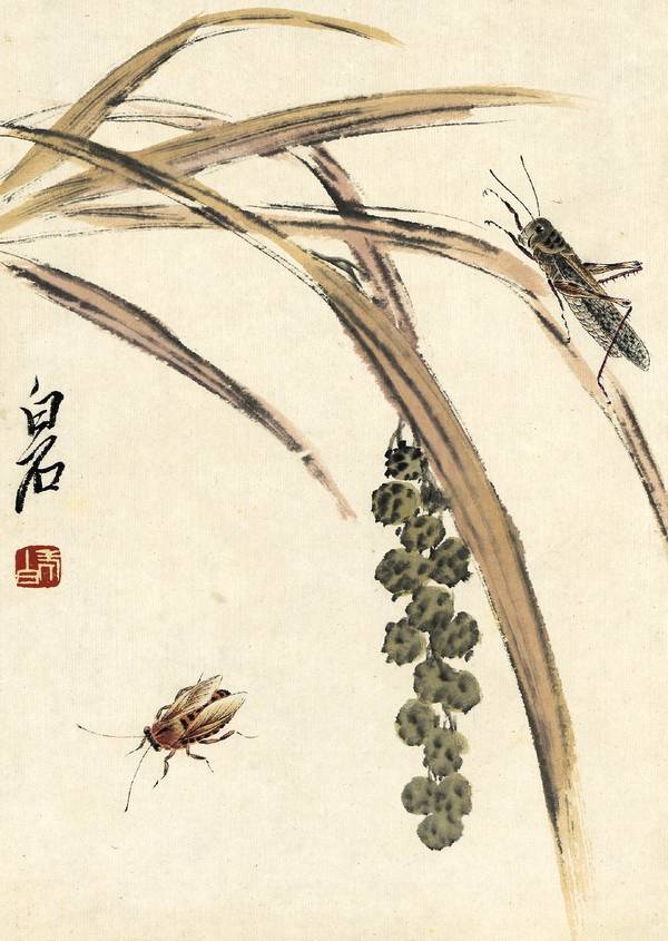 名家经典:齐白石《虫草册页》二十开|虫草册页|草虫|齐白石_新浪新闻