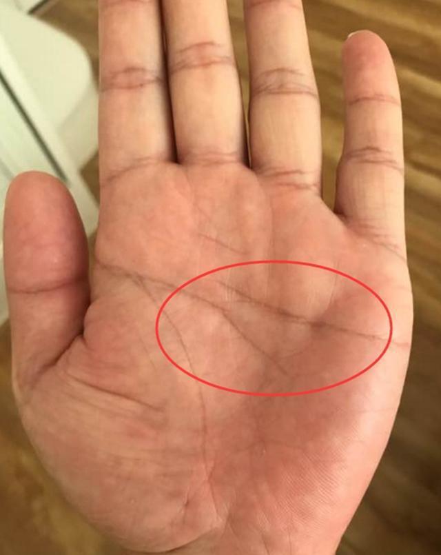 此手掌最明显的特征有旺夫相,而且对自己的丈夫有很大的帮助.