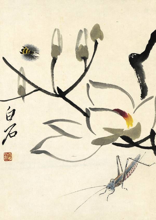 名家经典:齐白石《虫草册页》二十开|虫草册页|草虫|齐白石_新浪新闻