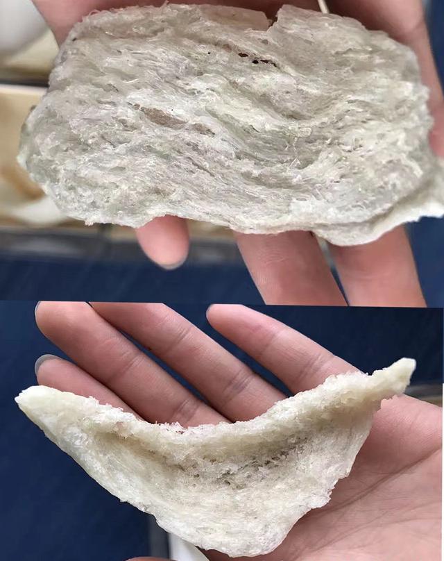 从此《假燕窝》是路人