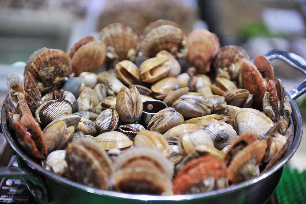 日照岚山海鲜楼点菜间无意中露出海鲜丰富 这里海鲜能让你吃到撑