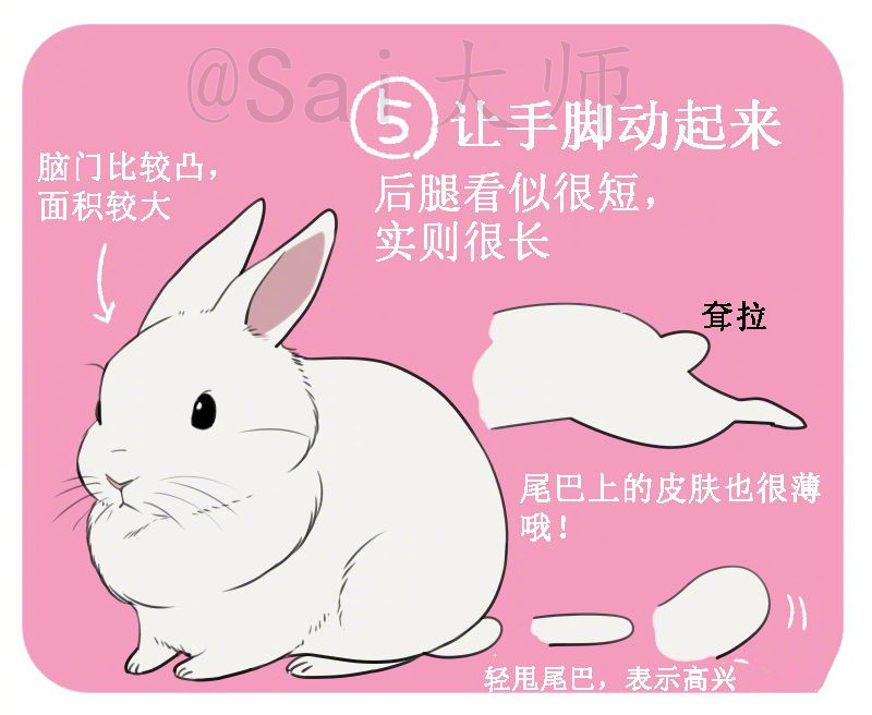 敲可爱的兔子绘制画法,手把手教你画出一只萌萌哒的小兔叽!画师