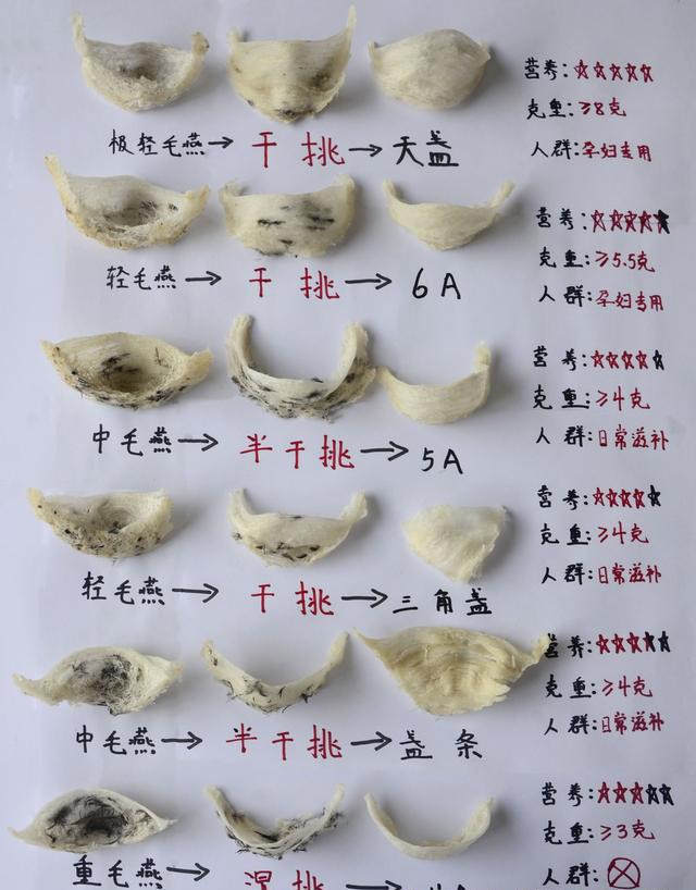 从此《假燕窝》是路人