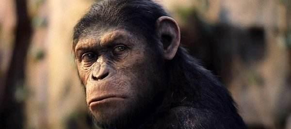 为什么有的人会长尾巴?血脉觉醒?