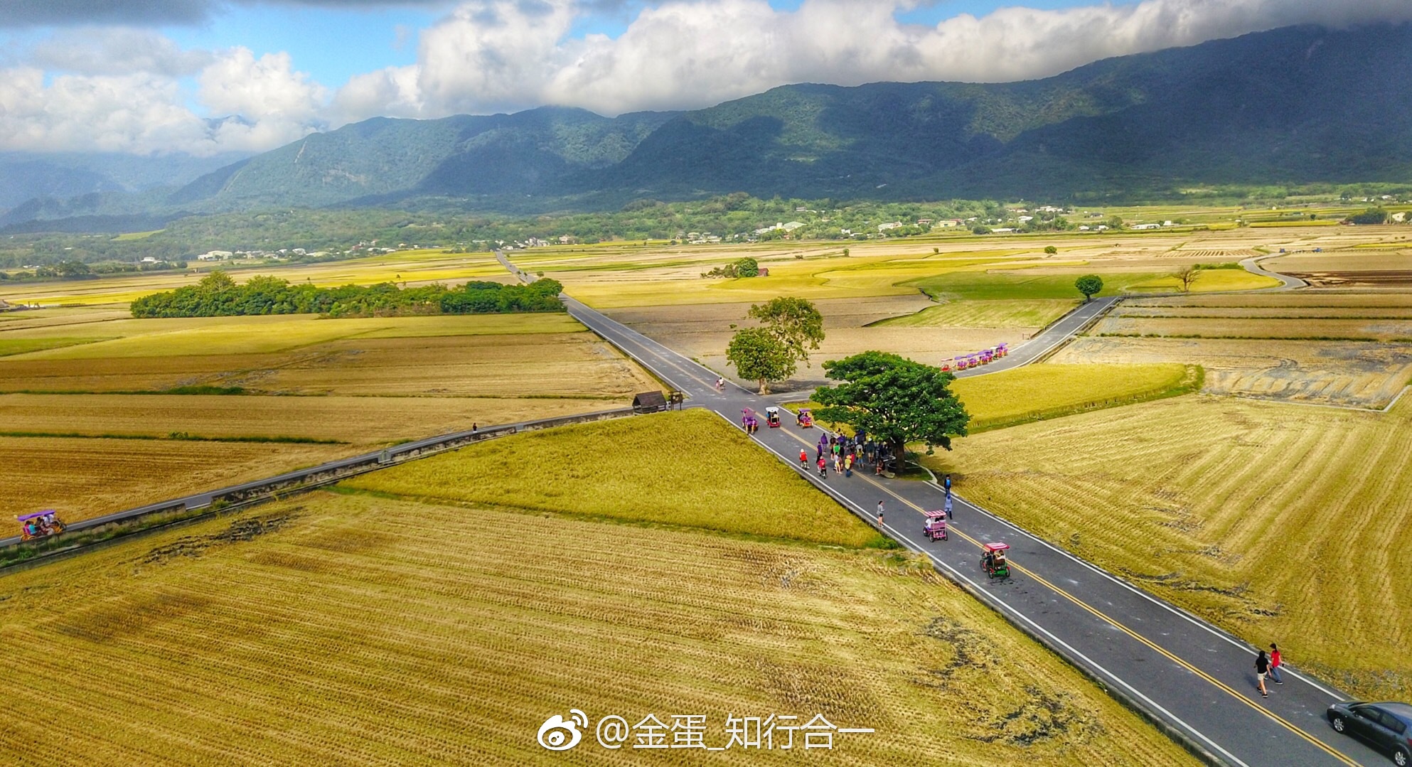 台东的池上地区,这里的稻米非常有名|池上|伯郎|台东|稻米|日晖_新浪新闻