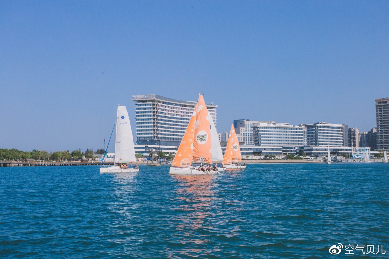 7·五缘湾帆船出海