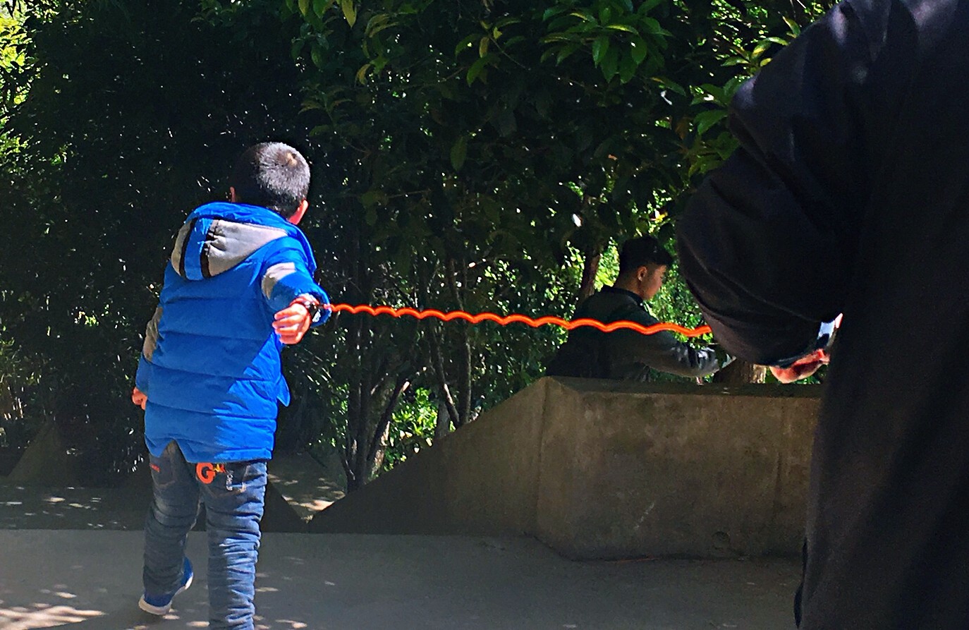 假期游玩一男子牵绳"遛娃" 为防跑丢|孩子|绳子|外出_新浪新闻