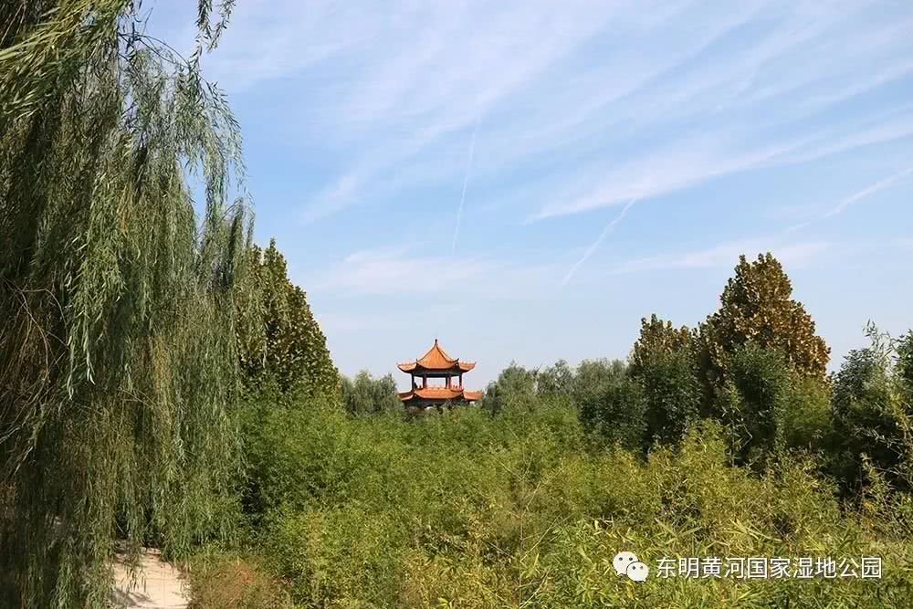 刚刚,东明国家湿地公园流出的艳照!