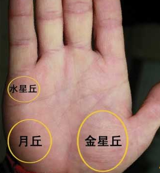 手上金星丘宽大出生在富贵的家庭,不如拥有富贵的命格.
