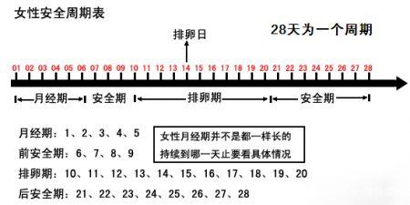 月经周期天数减去11天易受孕期第1天=最短1次月经周期天数减去18天在