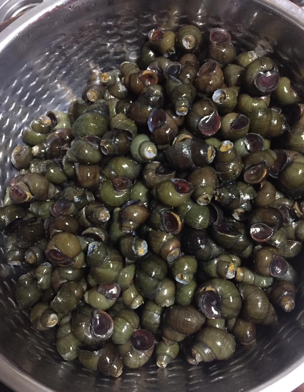 炒田螺夏日夜晚炒田螺配啤酒感觉美滋滋