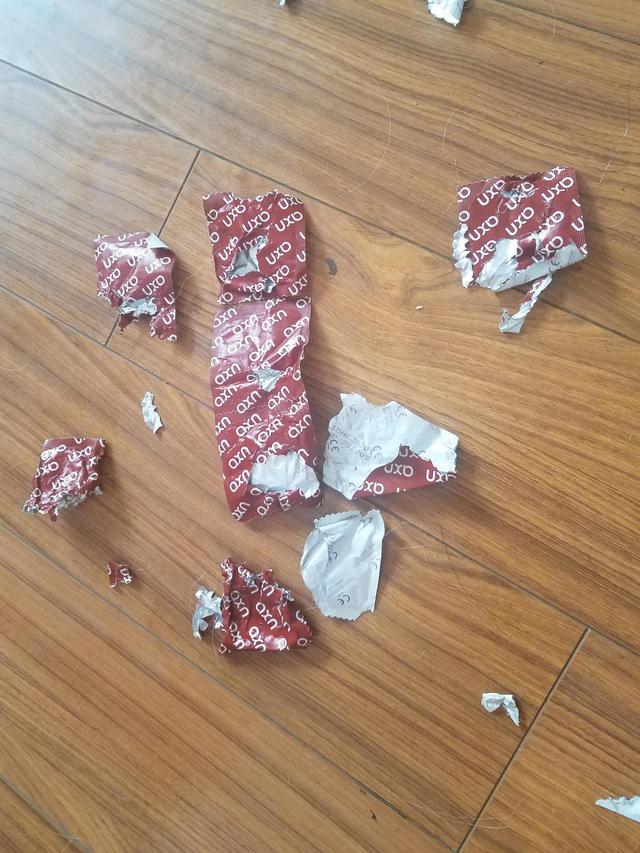 这不,一网友家里养了只萨摩耶,这天主人一回家看到了满地套套袋子,但