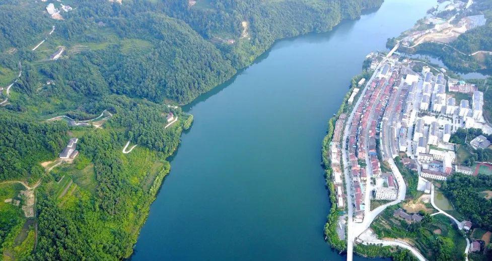 以能人为纽带,把贫困户绑在产业链上|产业链|喜河镇|贫困户_新浪新闻