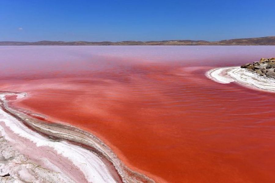 地球上最大的红色湖泊美得让人心疼