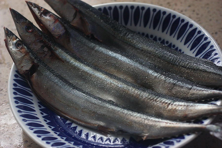 秋刀鱼|柠檬汁|内脏_新浪新闻