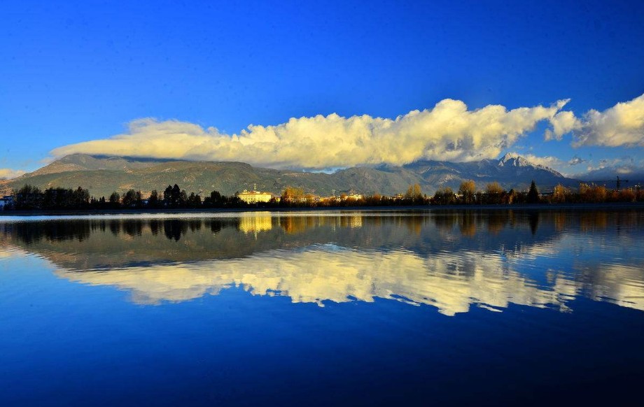 中国股市终于失控了,股民:千亿市值马上跌没了