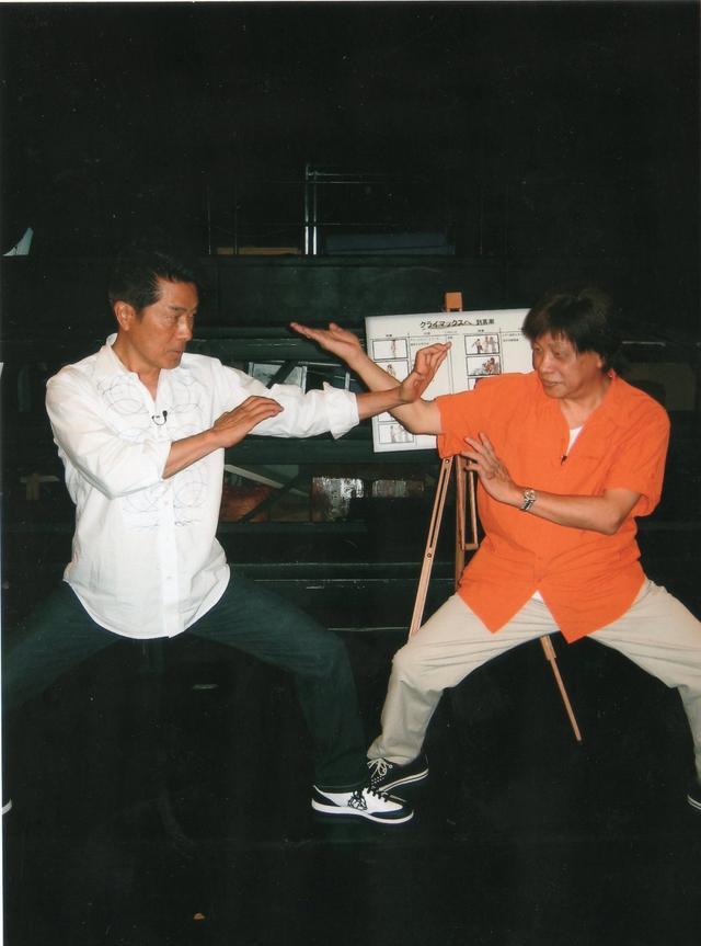 主演了《猛虎下山》,《赶尽杀绝》,《神龙小虎闯江湖》等一些功夫片