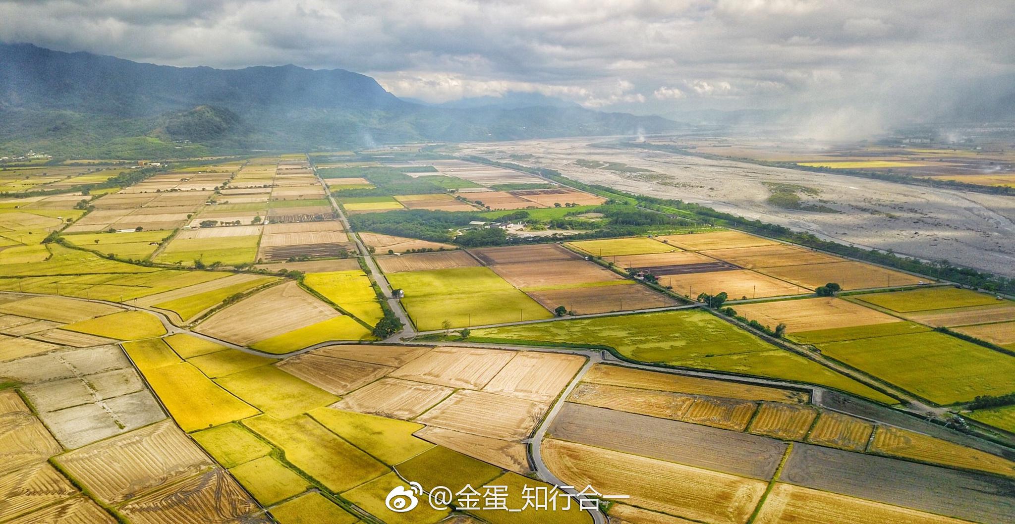 台东的池上地区,这里的稻米非常有名