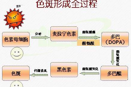 减少黑色素沉淀护肤品推荐 肌肤暗黄修复精华液选择