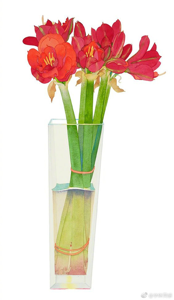 花瓶水彩画 花瓶水彩画