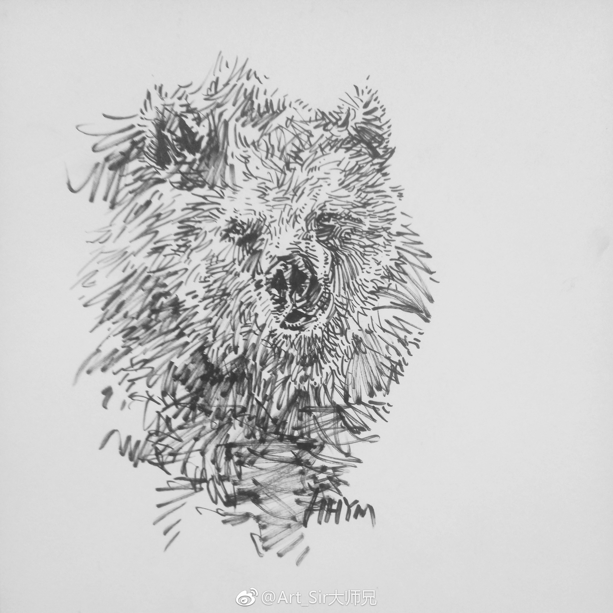 自己的风格,手绘小动物|投稿作者