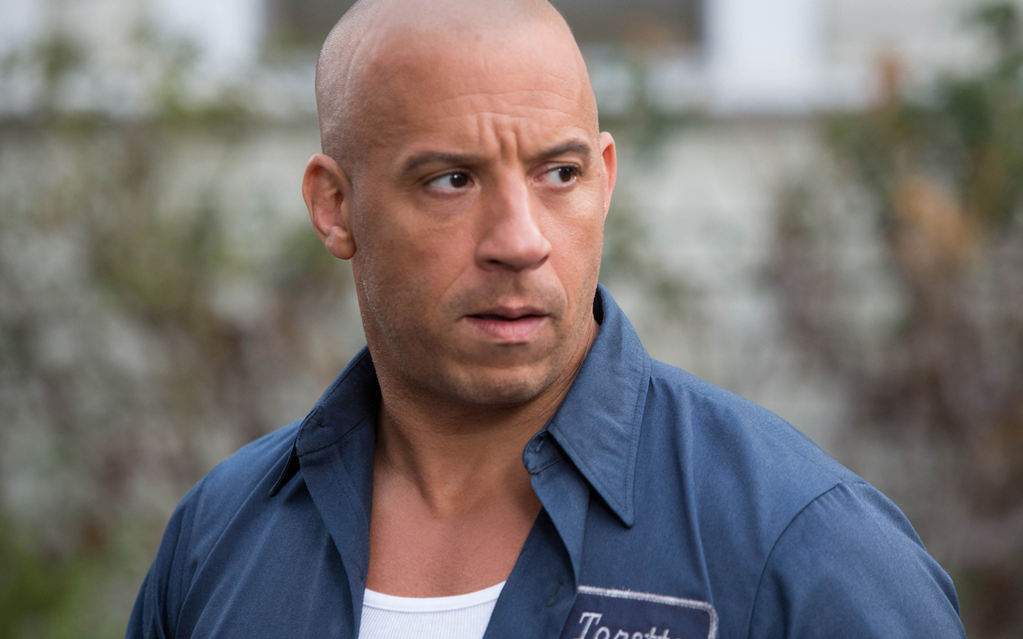 并且其代表系列作《速度与激情》以及《极限特工》每次上映都能够为