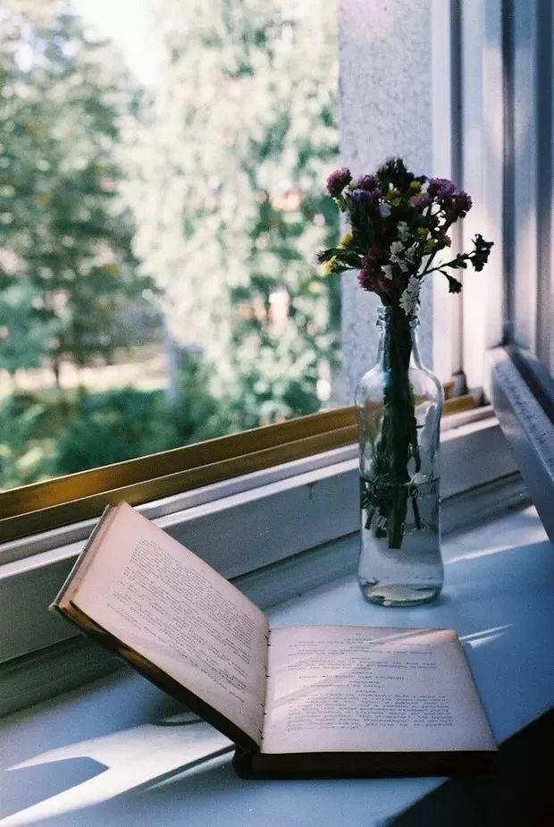 读书是一种别样的优雅