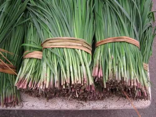 男朋友送了一大捆韭菜 他说代表长长久久 你咋不上天呢 100 男朋友亲