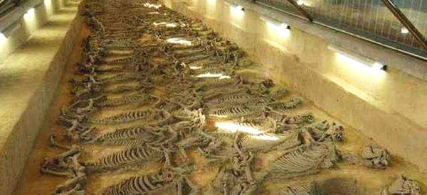 秦始皇死后,陪他殉葬的数目惊人,不光后宫女人,主要还有他们!