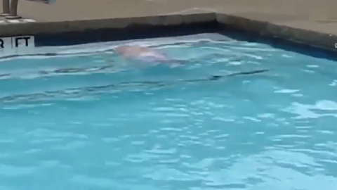 外国宝宝自己在泳池游泳, 这一脸享受的模样, 超