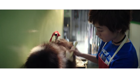 人说: 林深时见鹿,海蓝时见鲸,梦醒时见你 可我