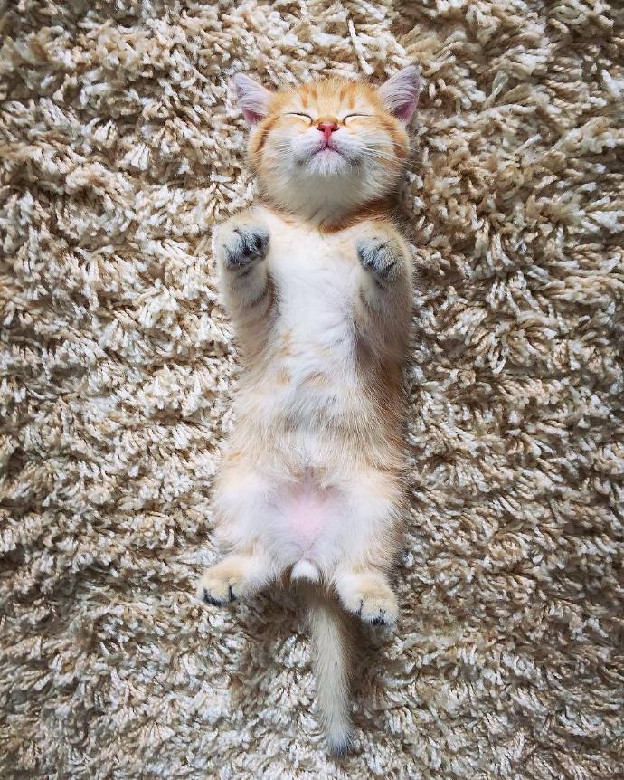 嘘,小天使睡着了!