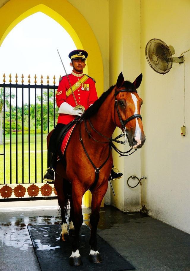 手持军dao,骑着红马,威武雄壮的卫兵.