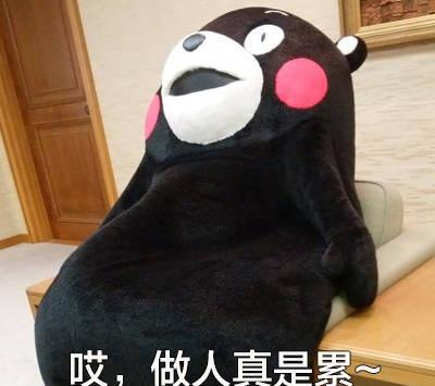 go web 单元测试表盘