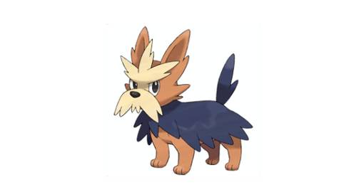 五只犬型神奇宝贝,四只警犬,最后一只效力反派助纣为虐