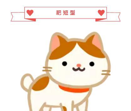 你以为猫咪尾巴断了?错!那是麒麟尾啊!