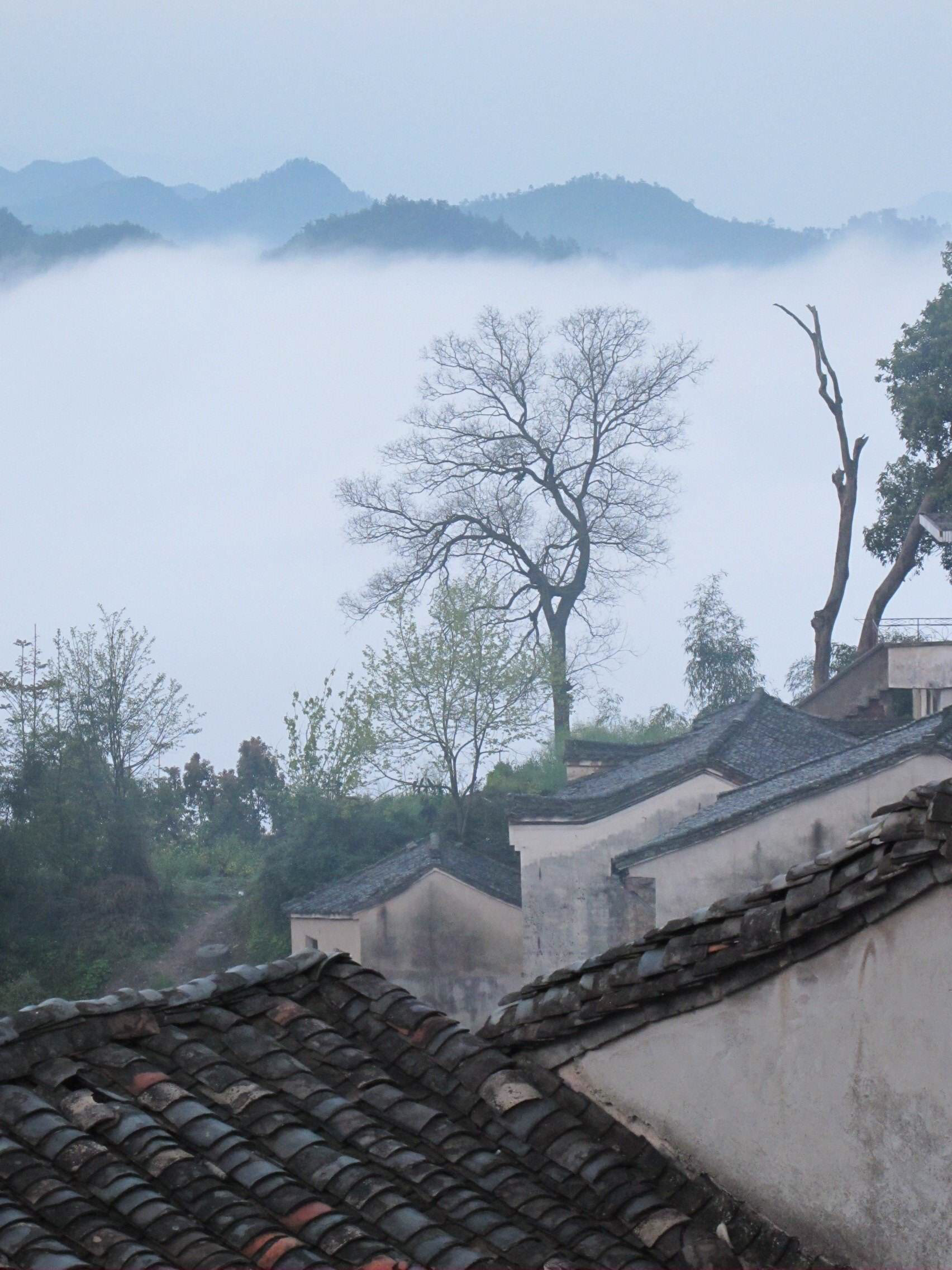 安徽歙县霞坑镇石潭村是黄山百佳摄影基地之一也是诗情画意的村边水