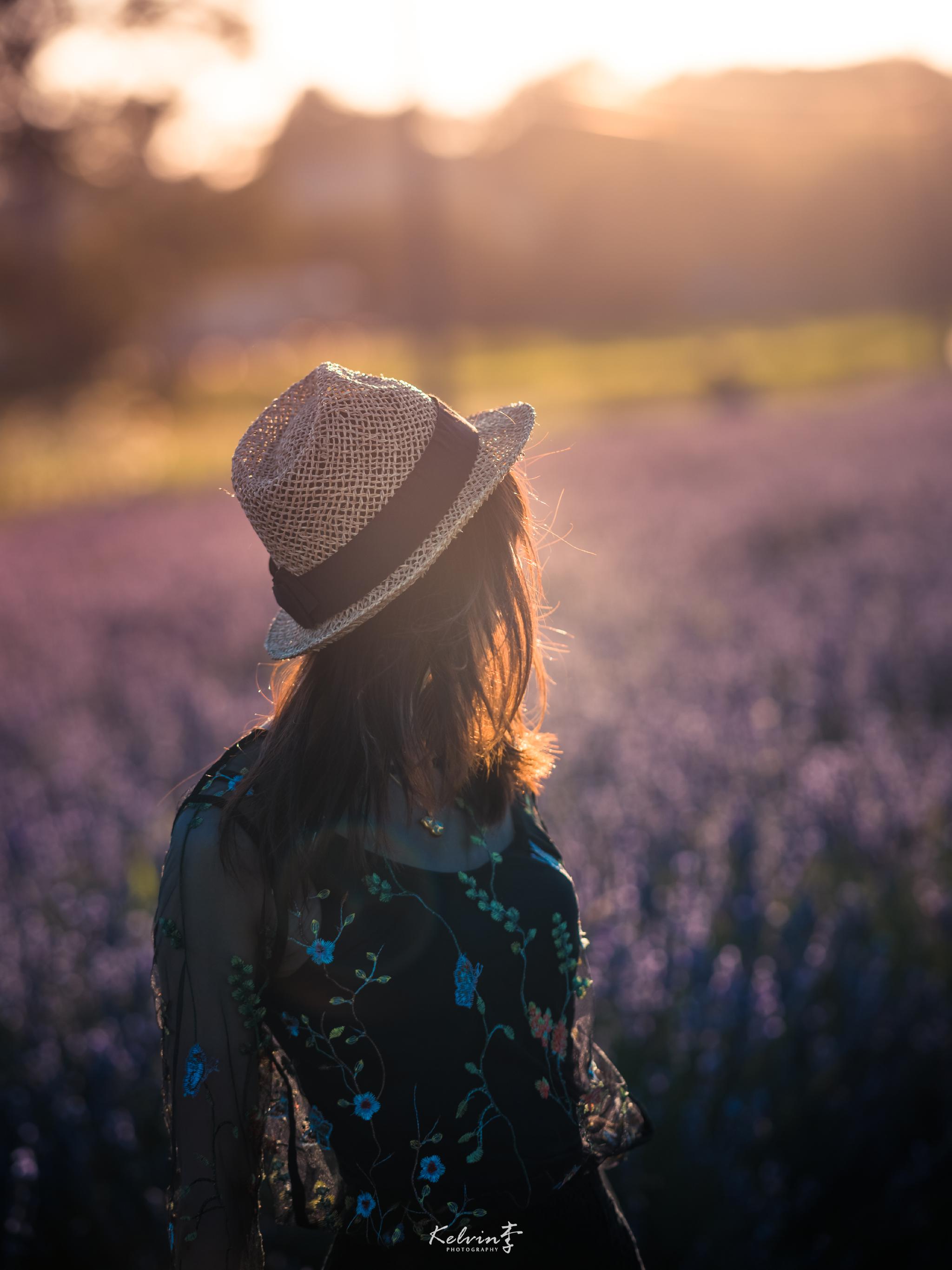 小姐姐说来东京一趟,去北海道看薰衣草花海的梦也圆了