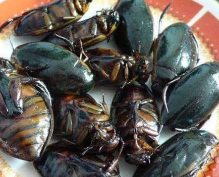 出差到东北饭店吃饭点了一道特色菜真是恶心的没胃口