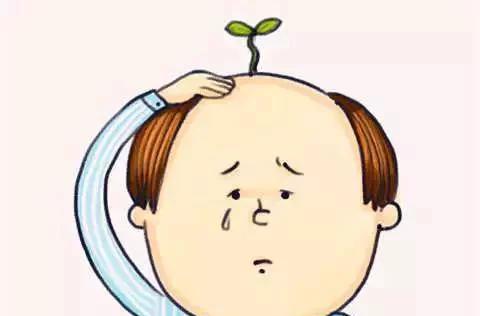 哈哈,秃顶原来是这么来的?