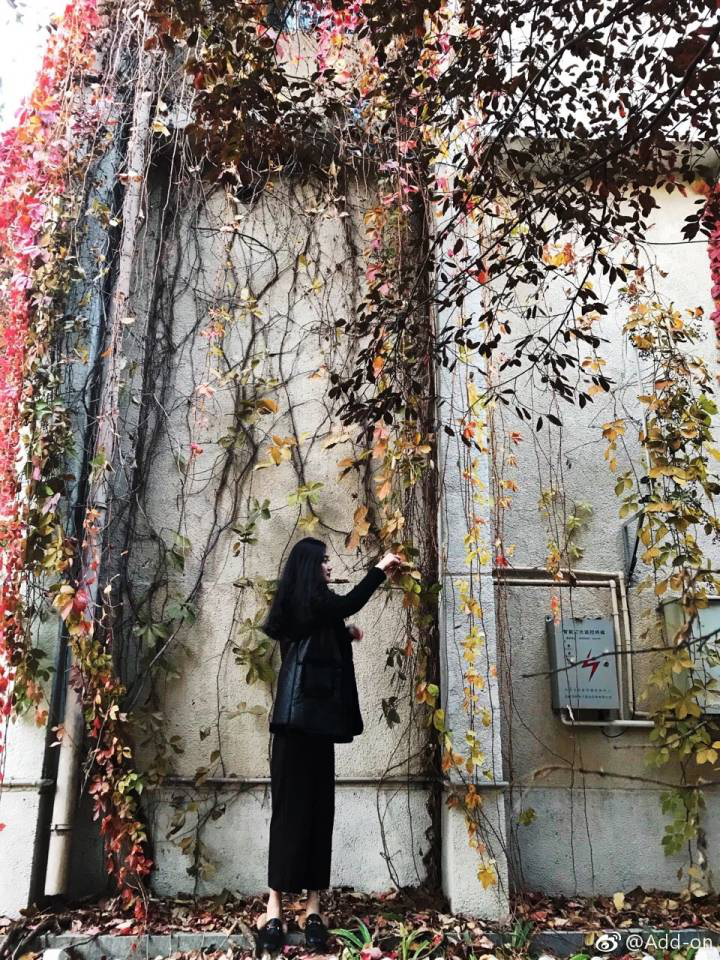 遇害空姐李明珠微博曝光,生前大量照片流出,颜值堪比一线明星!