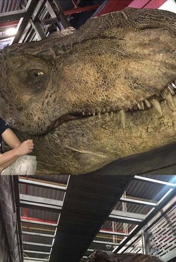 《侏罗纪世界2》实体霸王龙模型照泄露 锋利牙齿栩栩如生!