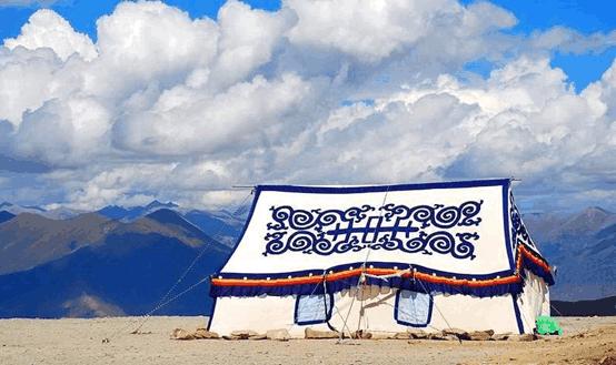 在西藏看到这种白色帐篷不要随便进,除非你想做藏族女婿!