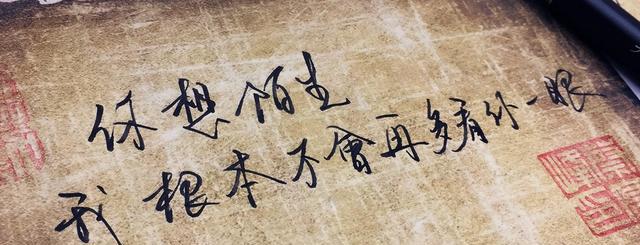 感情里别说不求回报,上了赌桌没有一个想空着口袋走|赌桌|皮外伤|美文