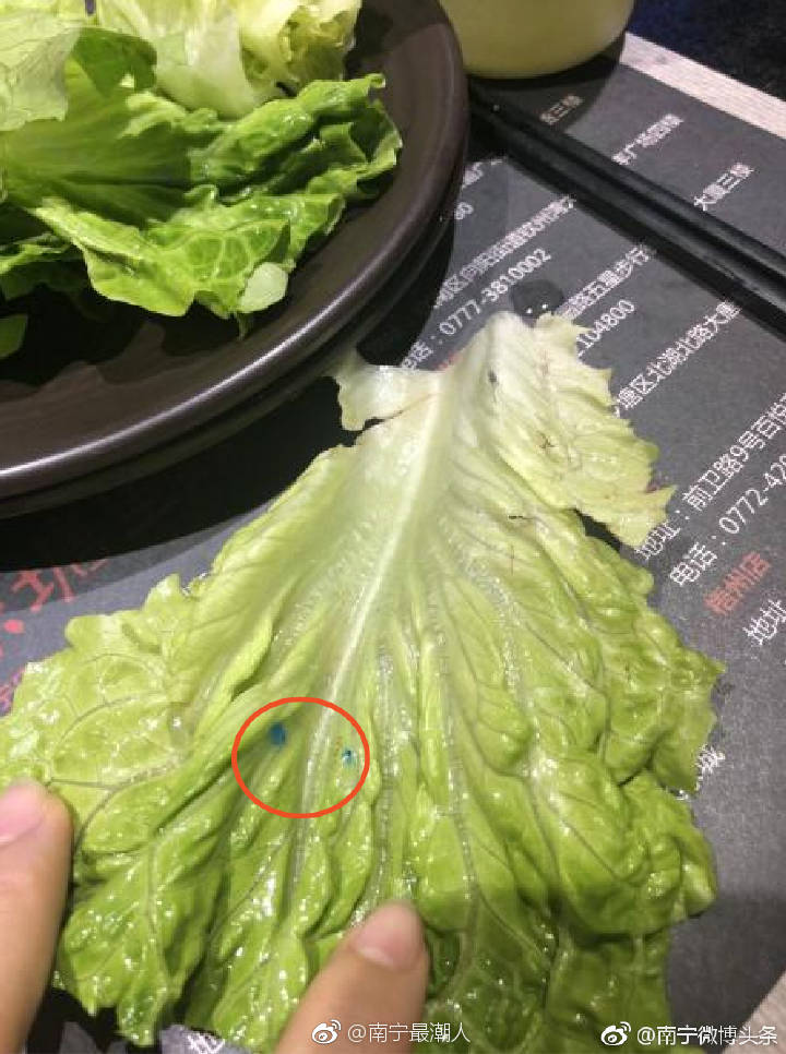 太恐怖了!网曝南宁市中心某烤肉店生菜上的化肥都没洗干净|生菜|南宁|